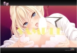 虜ノ桜 ~美しく咲き、淫らに散らされる処女たち~ ifエロパッチ対応豪華版 の特典情報